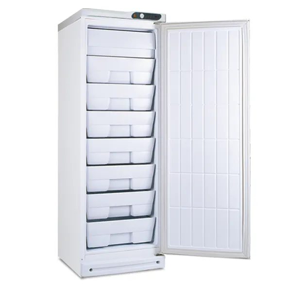 Concord Vertical Freezer
