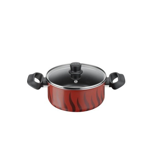 Tefal Tempo Flamme Stewpot 20cm