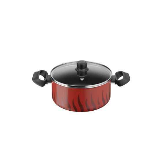Tefal Tempo Flamme Stewpot 22cm