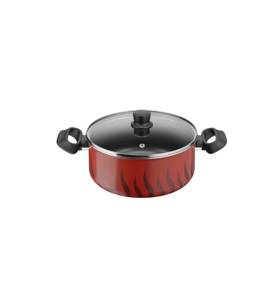 Tefal Tempo Flamme Stewpot 24cm