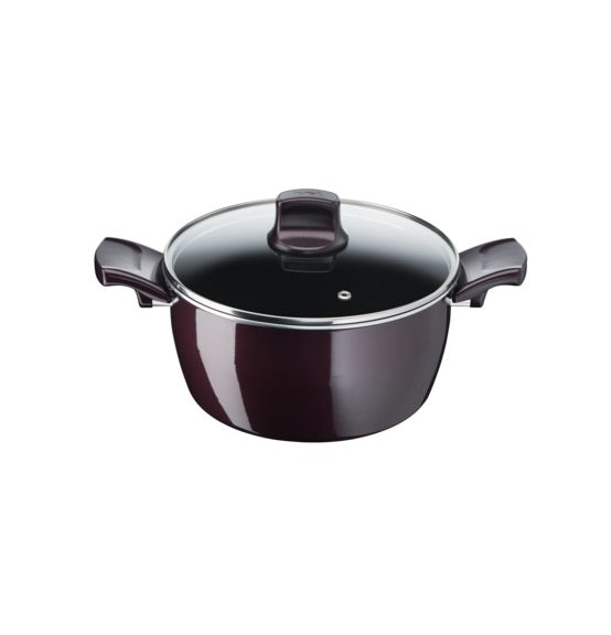 Tefal Resist Intense Stewpot 22cm
