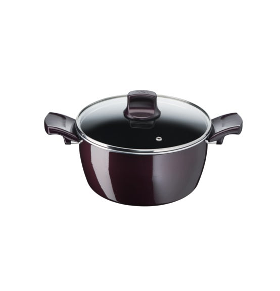 Tefal Resist Intense Stewpot 24cm