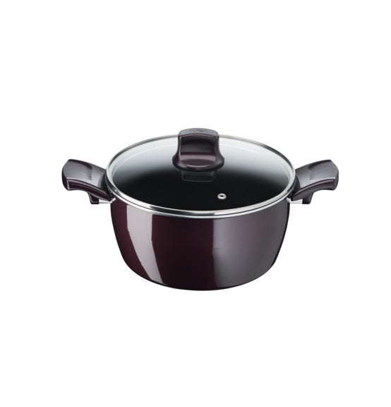 Tefal Resist Intense Stewpot 26cm