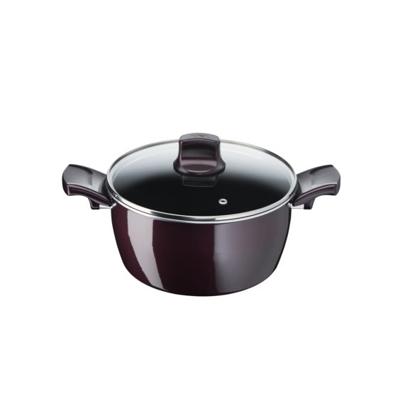 Tefal Resist Intense Stewpot 30 Cm