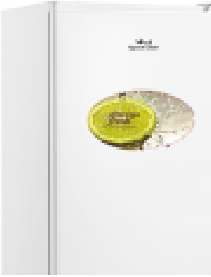 Queen Chef One Door Compact Fridge D-Frosty 100 L