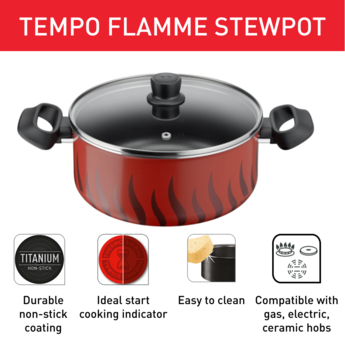Tefal Tempo Flamme Stewpot 20cm