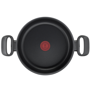 Tefal Tempo Flamme Stewpot 22cm
