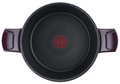 Tefal Resist Intense Stewpot 24cm